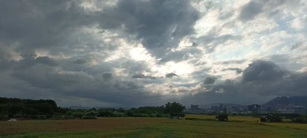 1121110 2023年關渡賞花海~主題花田喜事(一)秘境