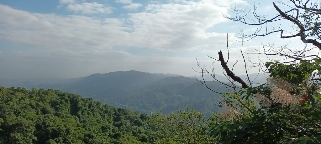 1121118南港山系(四獸山)稜線上的好展望