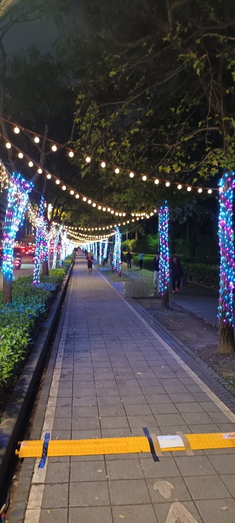 新生南路與信義路口台北耶誕愛無限活動點燈~大安森林公園11號