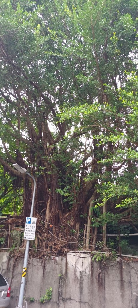 嘉禾新村~自來水博物館園區(二)