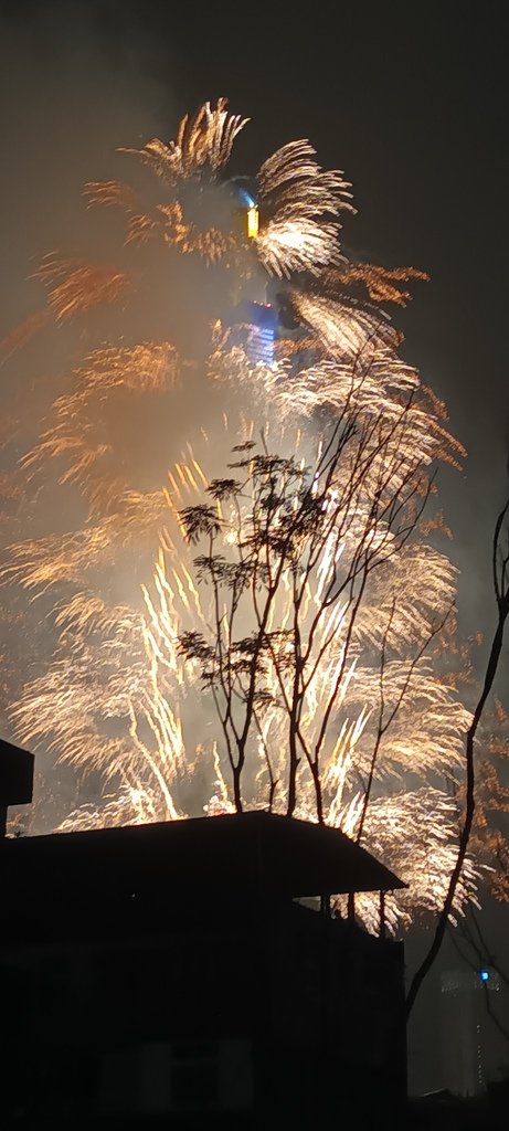 祝福大家2024年新年快樂了!