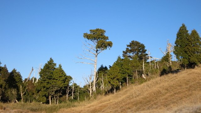 那一年的藍天包場及寒冷的加羅湖(三)~藍白篇。