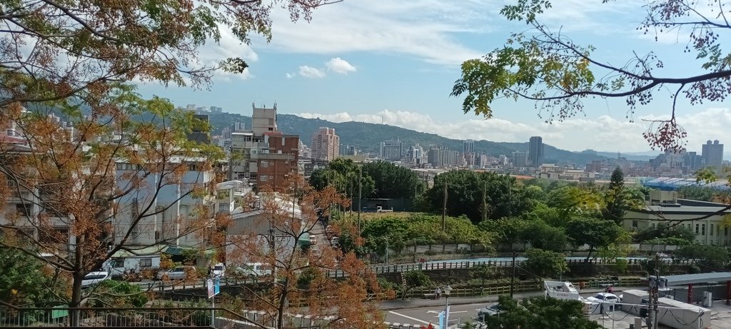 1130201北投社三層崎公園花海節活動(台版富良野)(一)