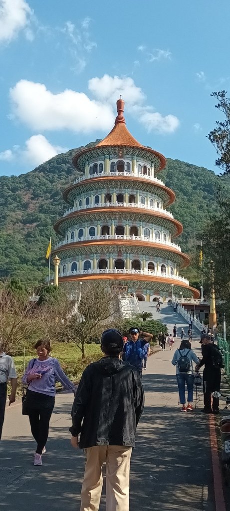 1130201淡水天元宮後山賞櫻花(一)