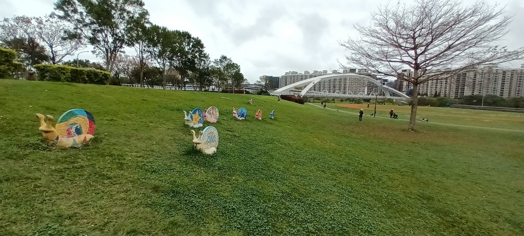 1130222新店陽光運動公園賞櫻花(四)~蝸牛裝置藝術。