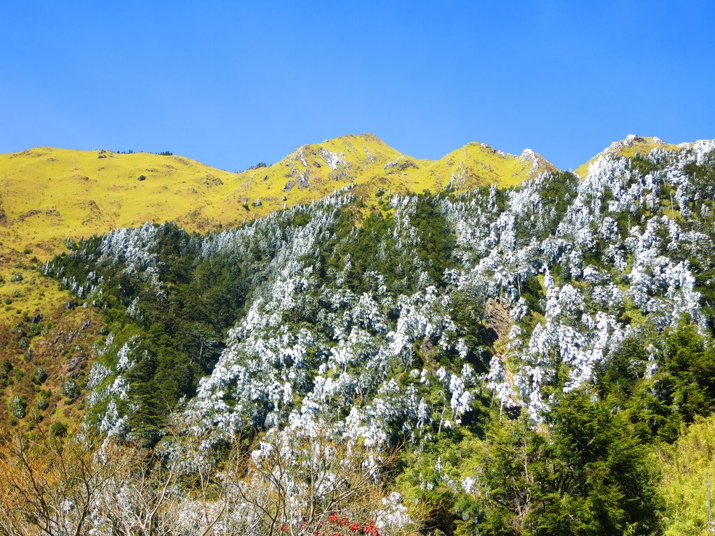 深堀山!又稱(奇來主山南南峰)