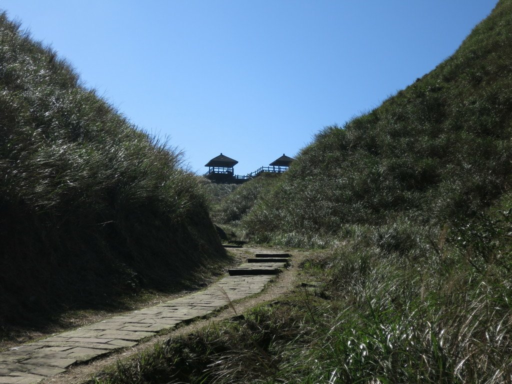 轉貼相關新聞:草嶺古道跌倒「頭部著地」男山友送醫搶救不治。