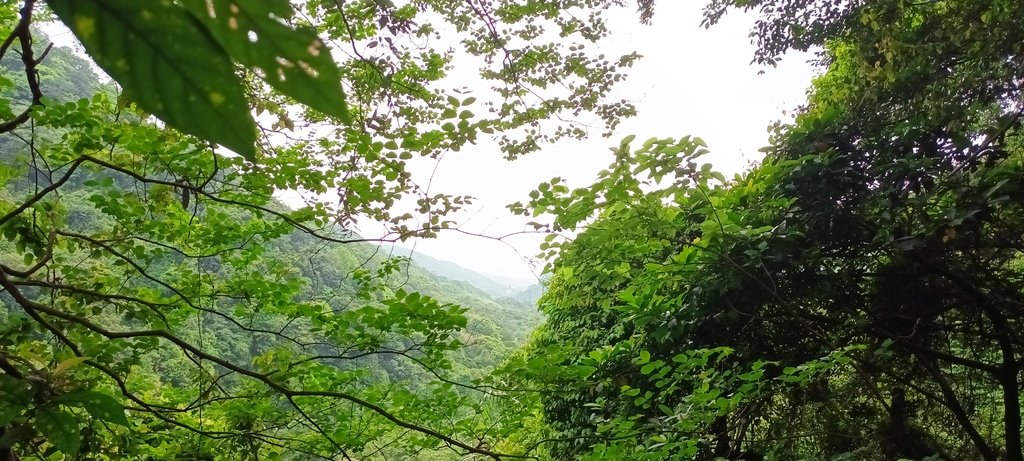 1130417石門青山瀑布再行~