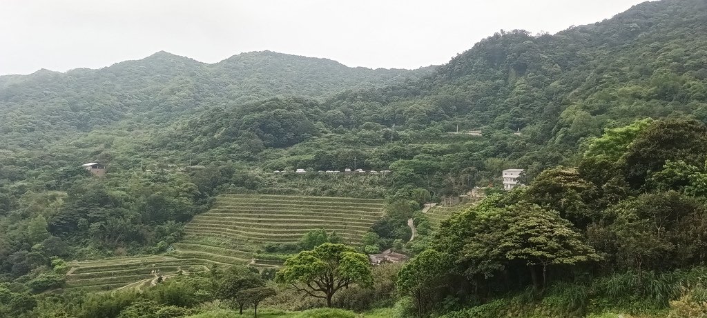 1130417石門青山瀑布再行~