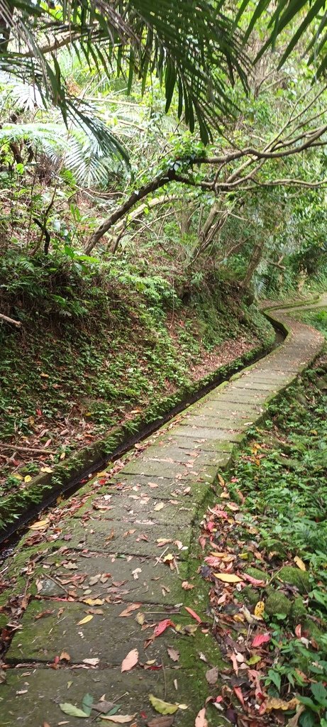 1130417石門青山瀑布再行~