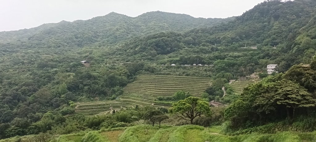 1130417石門青山瀑布再行~