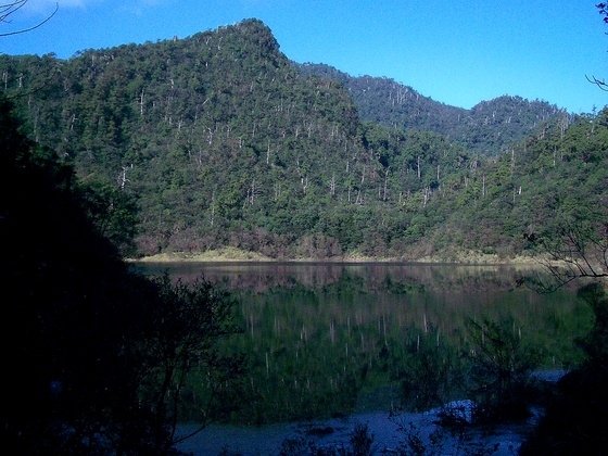 那一年滿水位的松蘿湖~湖邊晚餐大家的心意也是滿水位。