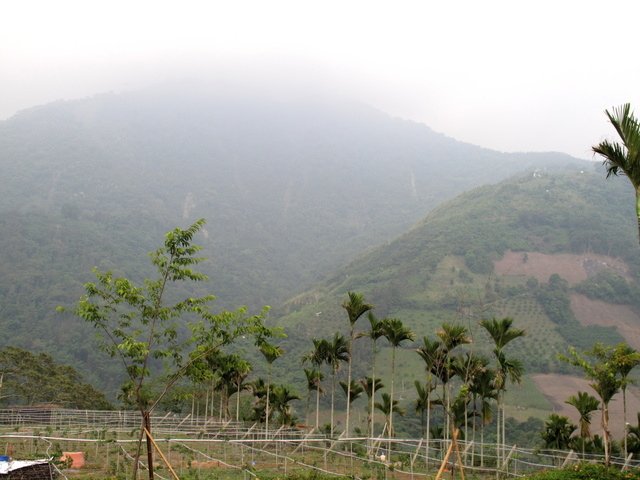 980516~17日郡大山行程心情篇