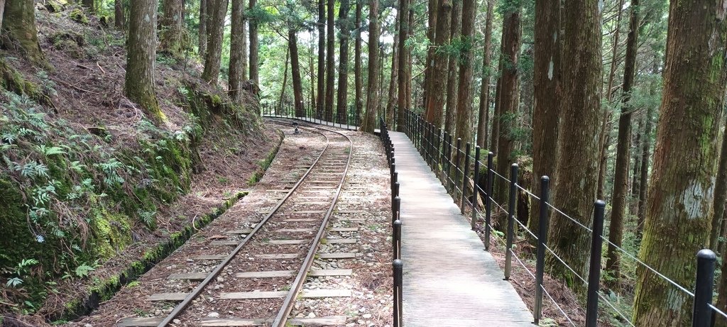 1130511太平山一日遊(六)~茂興車站及茂興懷舊古道主線