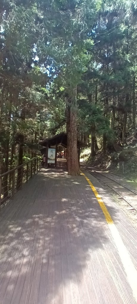 1130511太平山一日遊(六)~茂興車站及茂興懷舊古道主線