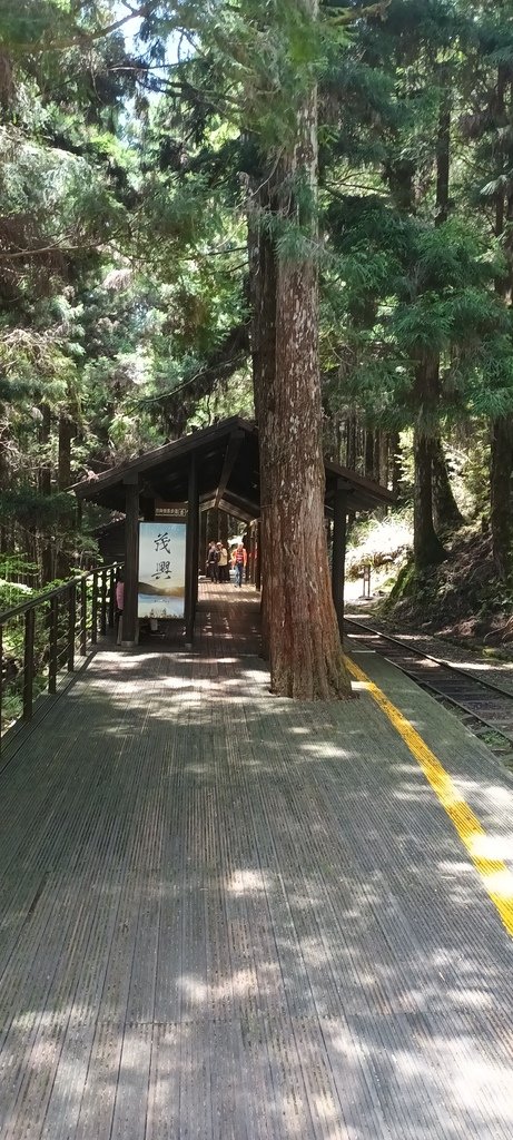 1130511太平山一日遊(六)~茂興車站及茂興懷舊古道主線