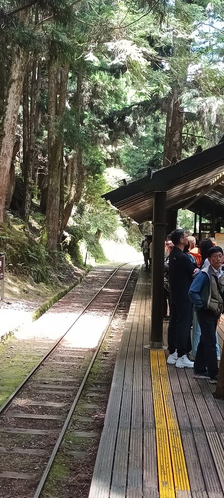 1130511太平山一日遊(六)~茂興車站及茂興懷舊古道主線