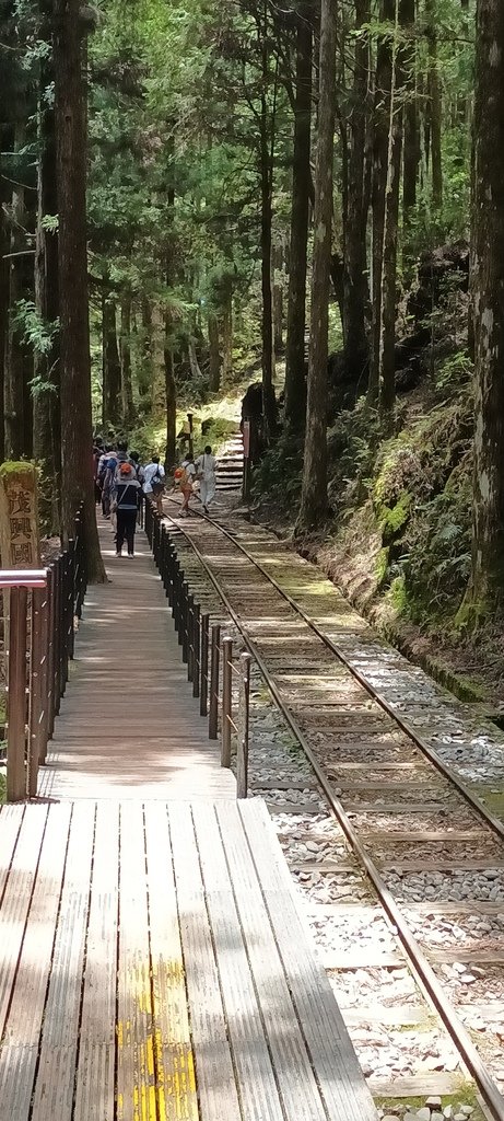 1130511太平山一日遊(六)~茂興車站及茂興懷舊古道主線