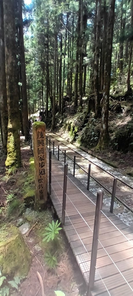 1130511太平山一日遊(六)~茂興車站及茂興懷舊古道主線