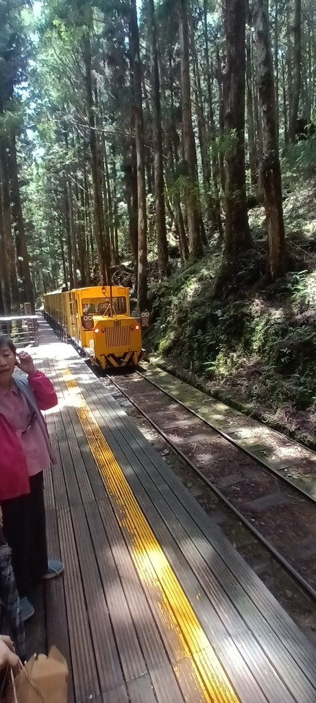 1130511太平山一日遊(六)~茂興車站及茂興懷舊古道主線