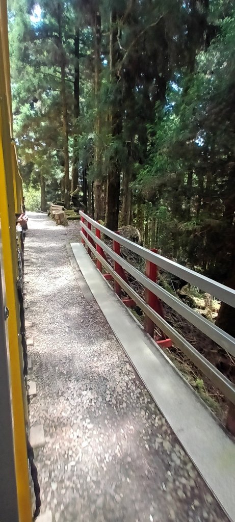 1130511太平山一日遊(六)~茂興車站及茂興懷舊古道主線