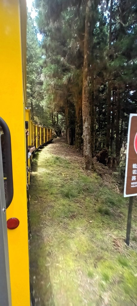 1130511太平山一日遊(六)~茂興車站及茂興懷舊古道主線