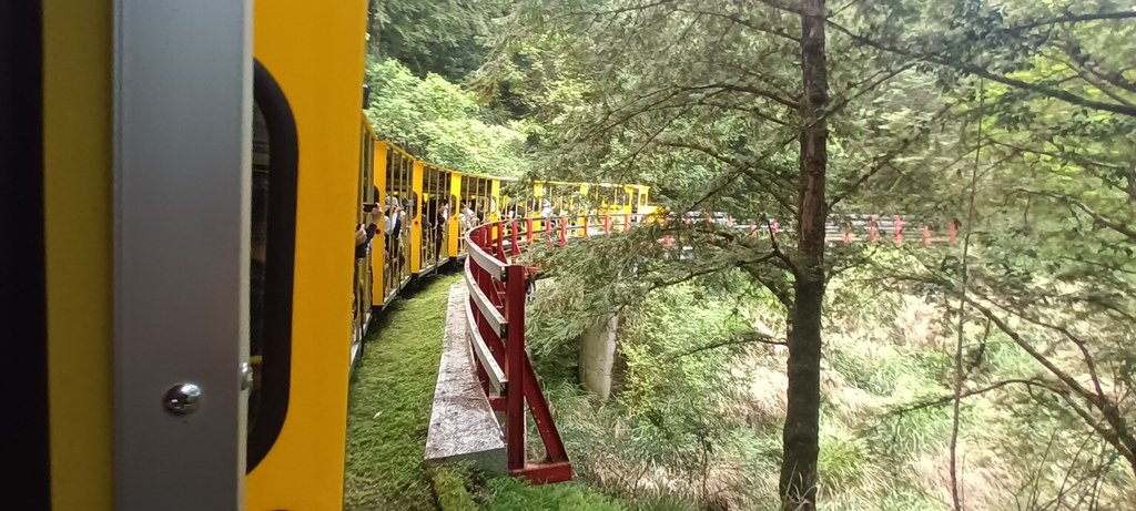 1130511太平山一日遊(六)~茂興車站及茂興懷舊古道主線