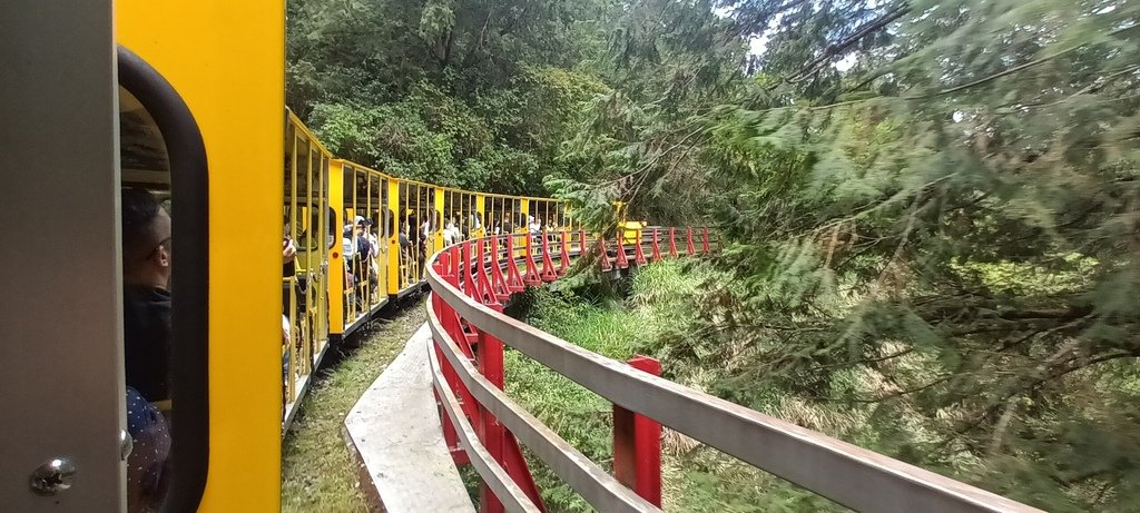 1130511太平山一日遊(六)~茂興車站及茂興懷舊古道主線