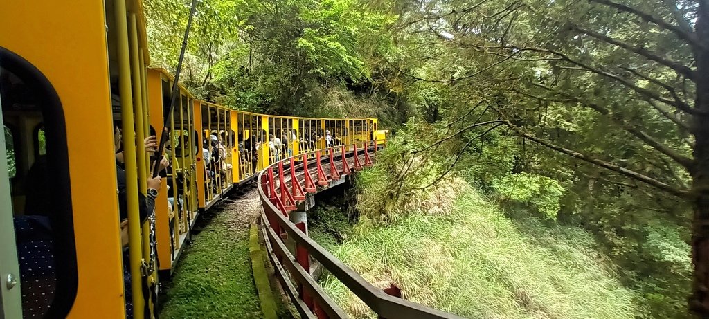 1130511太平山一日遊(六)~茂興車站及茂興懷舊古道主線