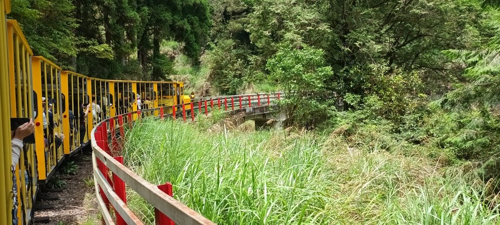 1130511太平山一日遊(六)~茂興車站及茂興懷舊古道主線