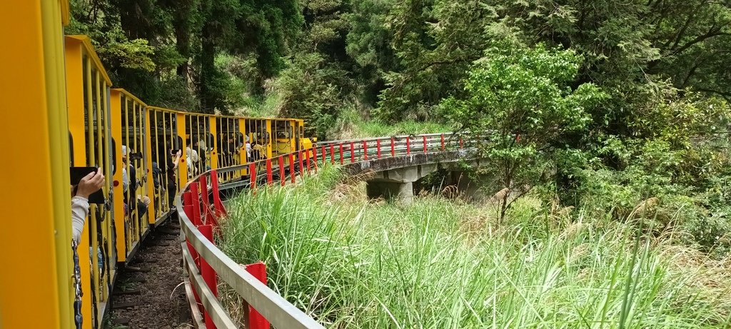 1130511太平山一日遊(六)~茂興車站及茂興懷舊古道主線