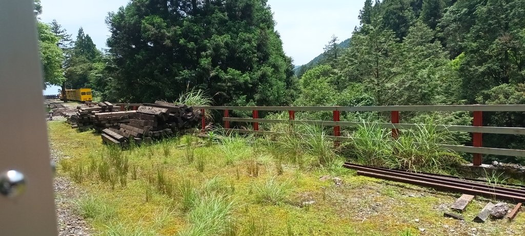 1130511太平山一日遊(六)~茂興車站及茂興懷舊古道主線