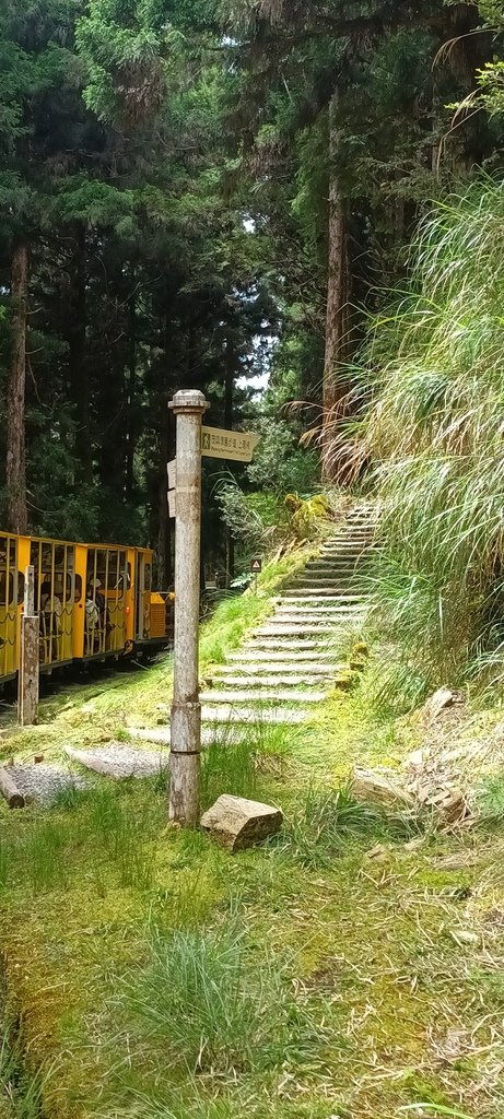 1130511太平山一日遊(六)~茂興車站及茂興懷舊古道主線