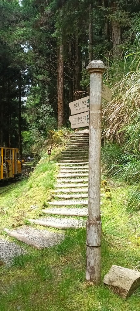 1130511太平山一日遊(六)~茂興車站及茂興懷舊古道主線