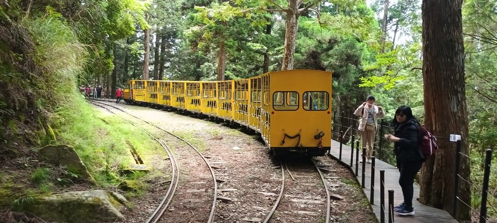 1130511太平山一日遊(六)~茂興車站及茂興懷舊古道主線