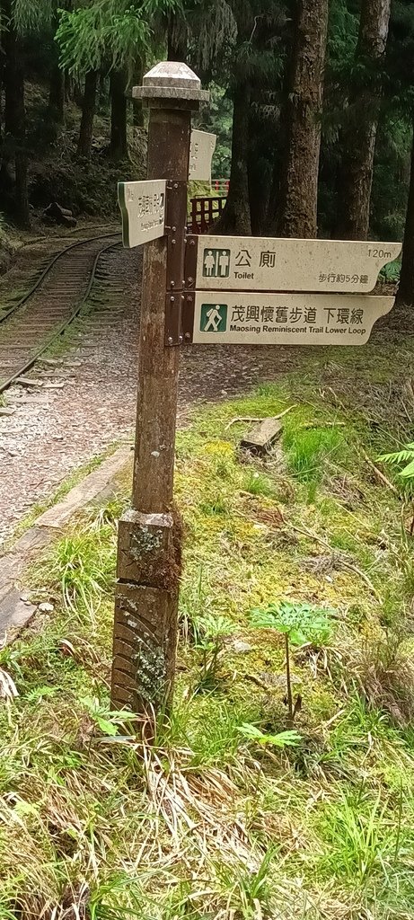 1130511太平山一日遊(六)~茂興車站及茂興懷舊古道主線