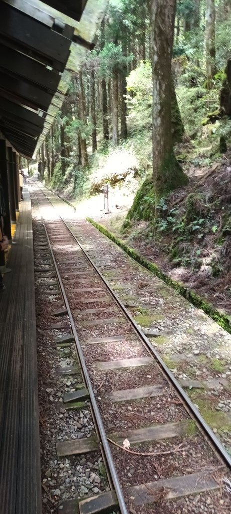 1130511太平山一日遊(六)~茂興車站及茂興懷舊古道主線