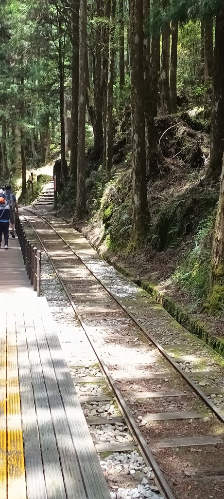 1130511太平山一日遊(六)~茂興車站及茂興懷舊古道主線