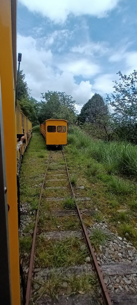 1130511太平山一日遊(六)~茂興車站及茂興懷舊古道主線