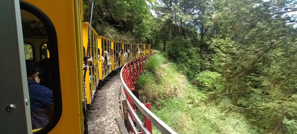 1130511太平山一日遊(六)~茂興車站及茂興懷舊古道主線