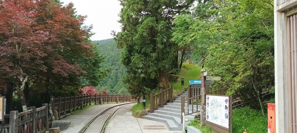 1130511太平山一日遊(四)~太平山車站。