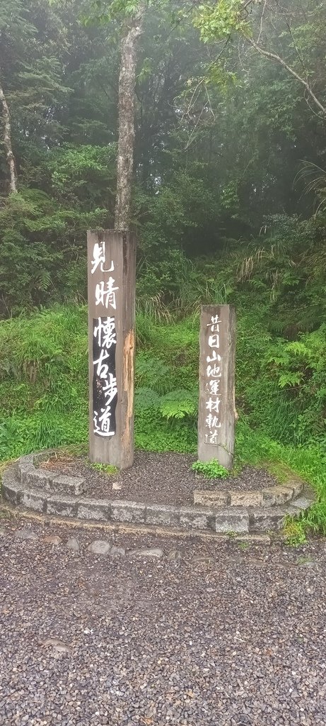 1130519太平山一日遊(十一)~迷霧中的見晴懷古步道!