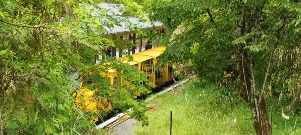 1130511太平山一日遊(四)~太平山車站。