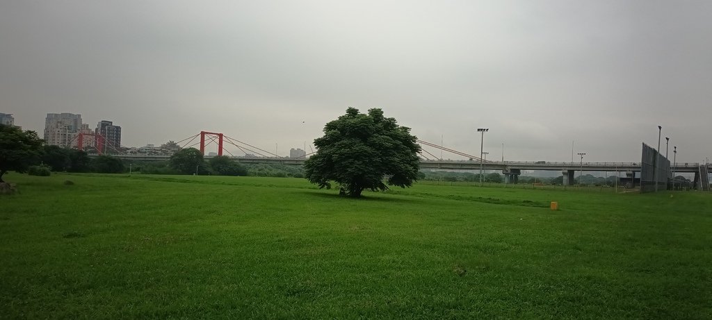 1130523新北河濱蝶戀季~板橋蝴蝶公園。