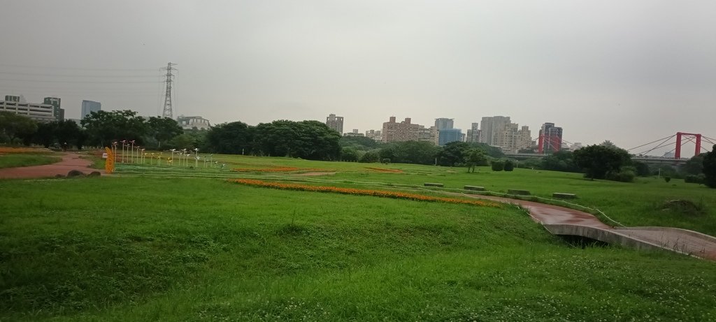 1130523新北河濱蝶戀季~板橋蝴蝶公園。