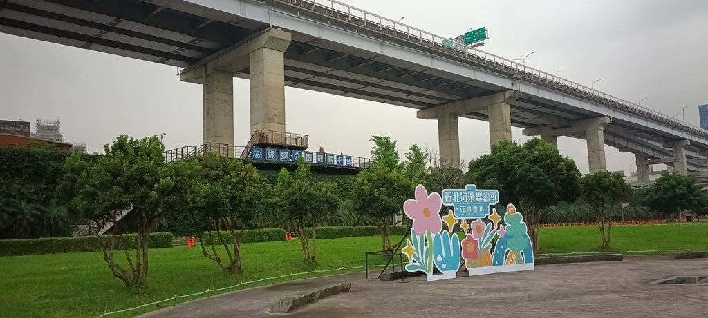 1130523新北河濱蝶戀季~板橋蝴蝶公園。