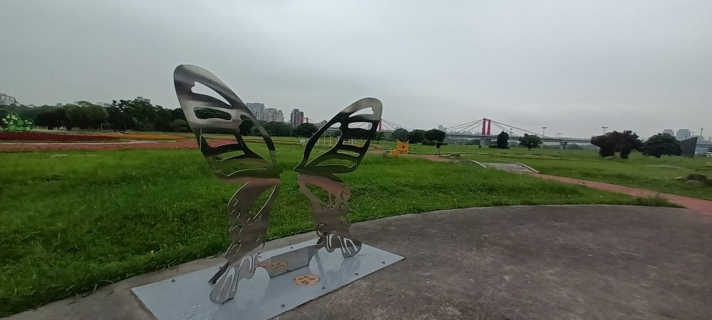 1130523新北河濱蝶戀季~板橋蝴蝶公園。