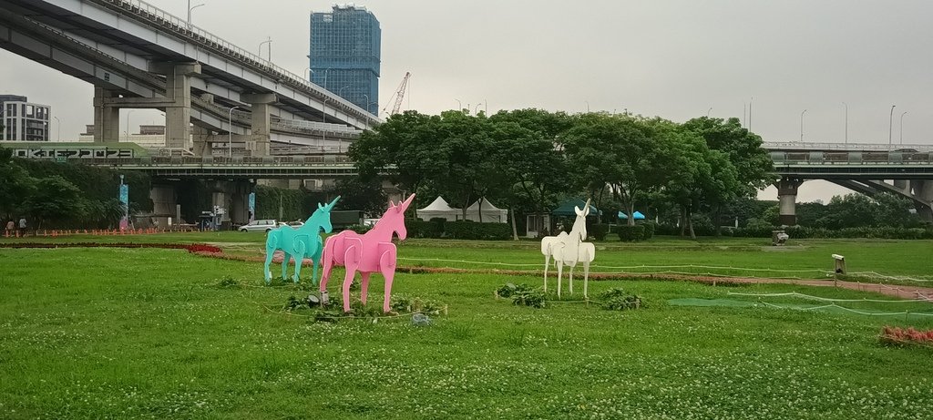 1130523新北河濱蝶戀季~板橋蝴蝶公園。