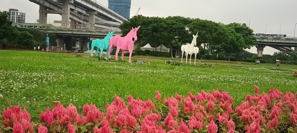 1130523新北河濱蝶戀季~板橋蝴蝶公園。