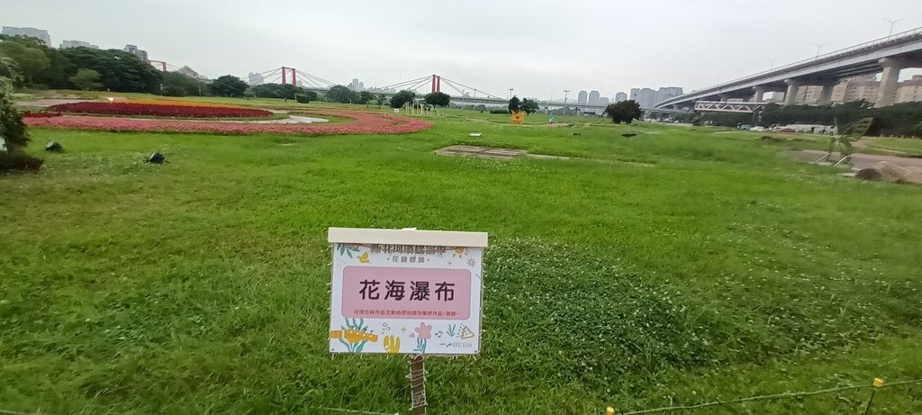 1130523新北河濱蝶戀季~板橋蝴蝶公園。